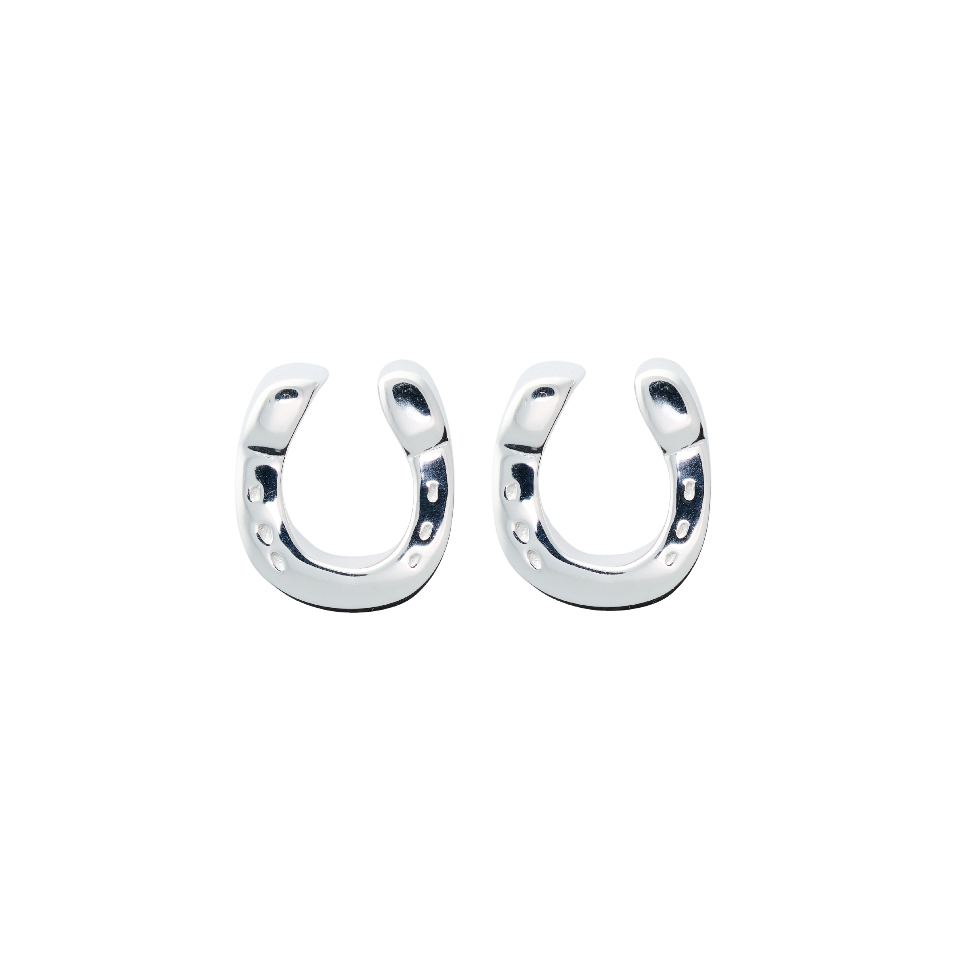 Horseshoe Earrings