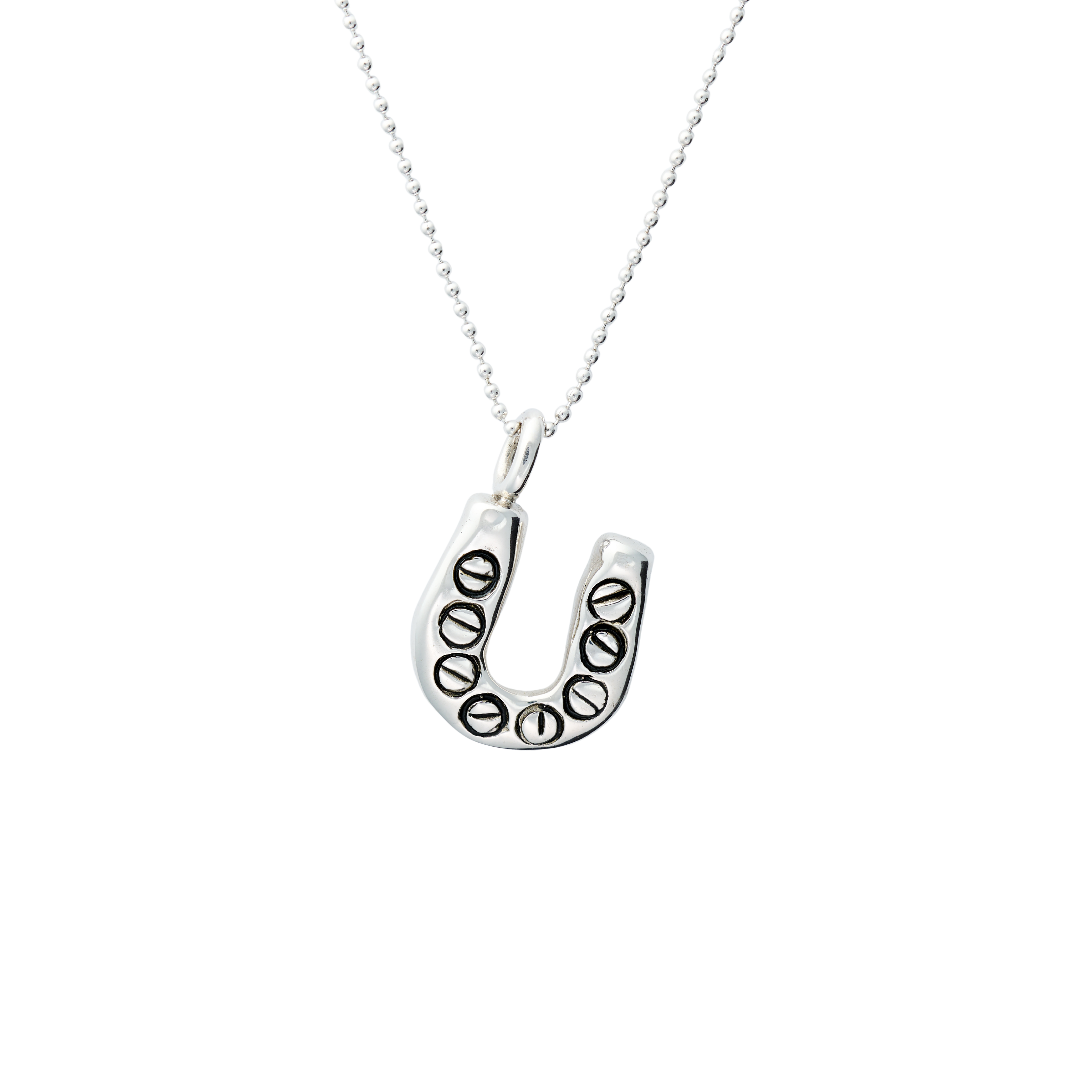 Horseshoe with Screws Pendant
