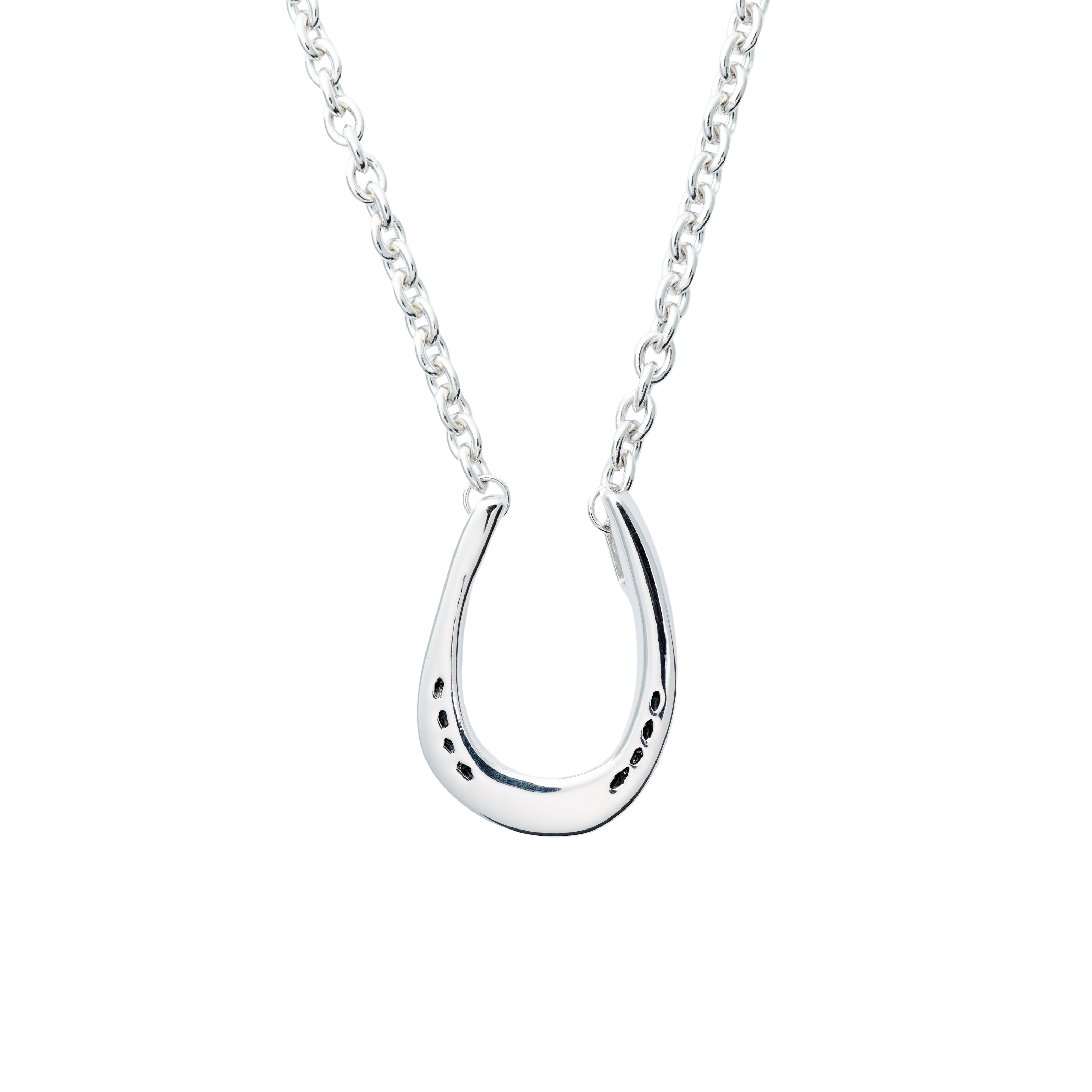 Large Horseshoe Pendant